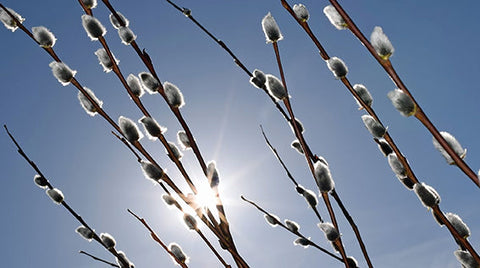 Helsinki herää kevääseen, ja pääsiäinen on oivallinen hetki lähteä merelle